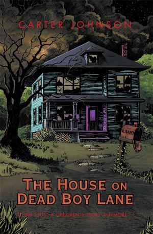 Book cover of The House on Dead Boy Lane