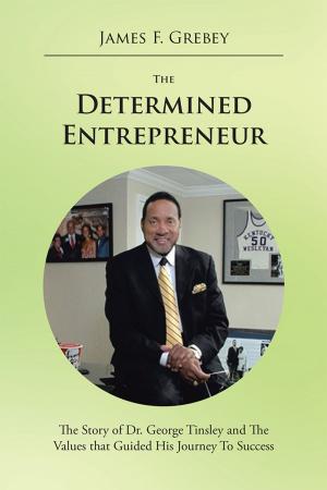 Cover of the book The Determined Entrepreneur by Bernie Tocholke