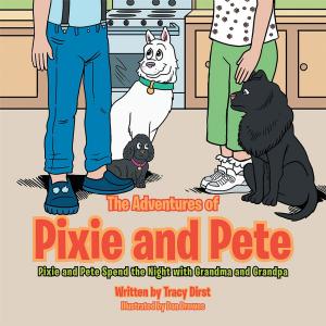 Cover of the book The Adventures of Pixie and Pete by Patrick Ian O'donnell