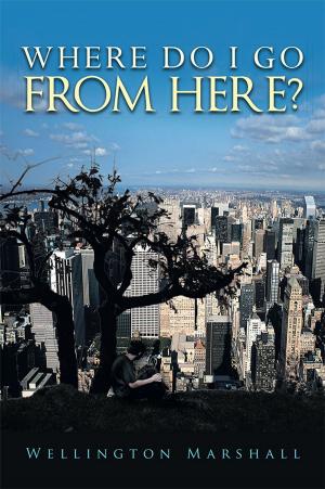 Cover of the book Where Do I Go from Here? by Shirley Walsh