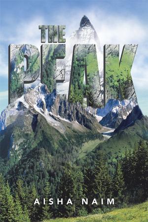 Cover of the book The Peak by John Chipley