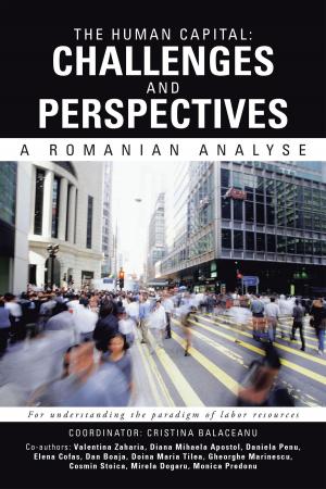 Book cover of The Human Capital: Challenges and Perspectives