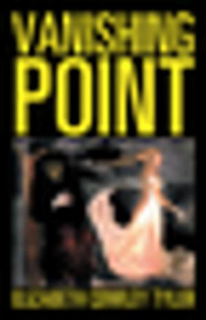Cover of the book Vanishing Point by Nicolas Lopez