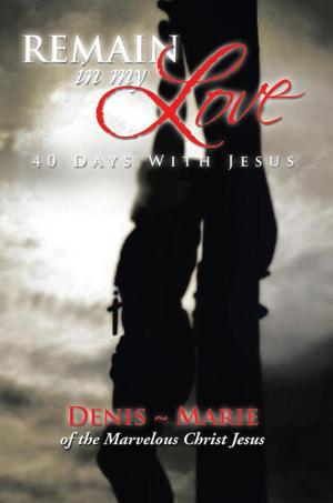 Cover of the book Remain in My Love by Wink Dameron