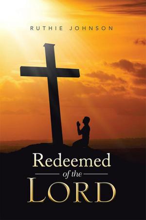 Cover of the book Redeemed of the Lord by Noreen Owens M.Ed.