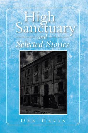Cover of the book High Sanctuary and Selected Stories by Shelly Rybak-Pearson