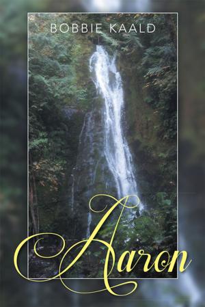 Cover of the book Aaron by Lance L. Palmgren