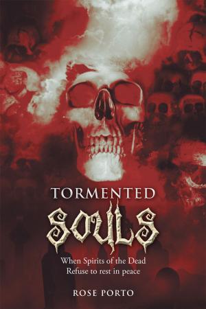 Cover of the book Tormented Souls by Shawna Luckey