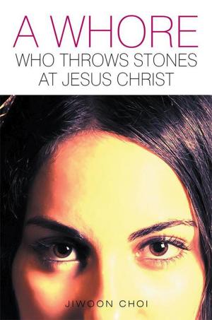 Cover of the book A Whore Who Throws Stones at Jesus Christ by Sue Cronin
