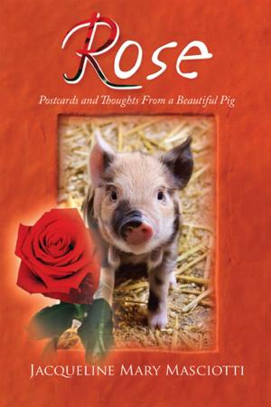 Book cover of Rose - Postcards and Thoughts from a Beautiful Pig