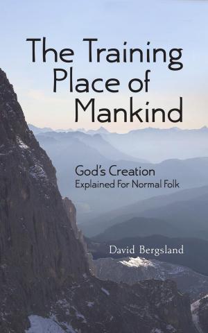 Cover of the book The Training Place of Mankind: God’s Creation Explained For Normal Folk by David Bergsland