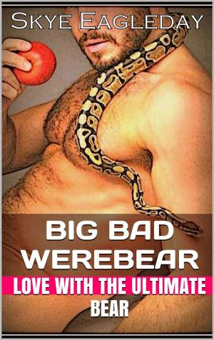Cover of the book Big Bad Werebear (Tales Of The Werebear 2) by Paul Jackson