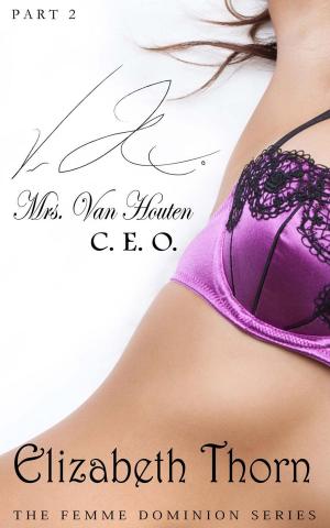 Book cover of Mrs. Van Houten, CEO - The Femme Dominion Series #2