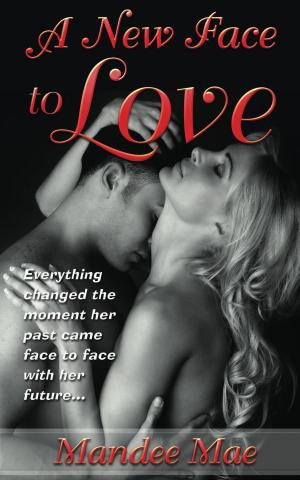 Book cover of A New Face to Love