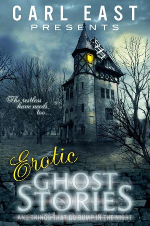 Cover of the book Erotic Ghost Stories and things that go bump in the Night by Jamie A. Waters