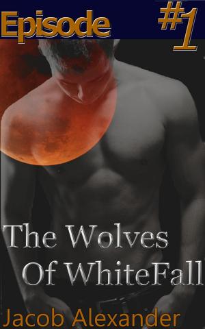 Cover of the book Episode 1: The Wolves Of WhiteFall by Violet Quinn
