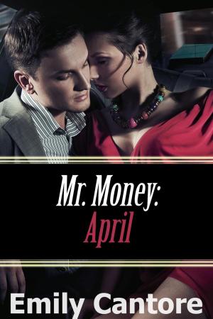 Cover of the book April: Mr. Money by Emily Cantore