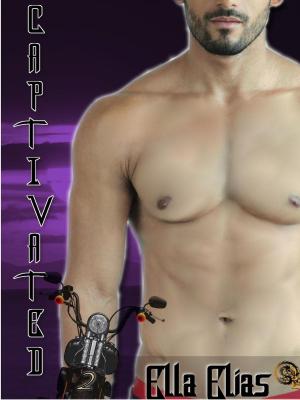 Cover of the book Captivated 2 by Nathan Jewell
