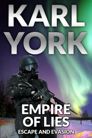 Cover of the book Empire of Lies by CN Stoesen