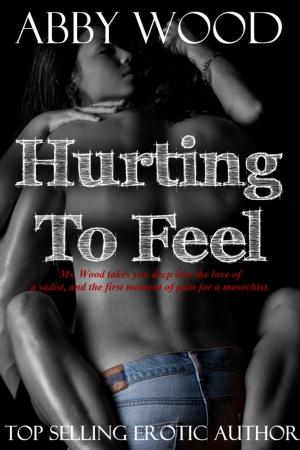 Cover of the book Hurting To Feel by Amy Phoenix