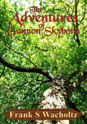 Cover of the book The Adventures of Gannon Skyborn by Donna J.A. Olson