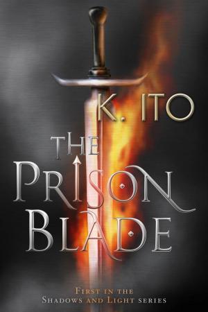 Cover of the book The Prison Blade by Michael O'Neill