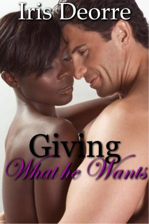 Cover of the book Giving What He Wants by Iris Deorre