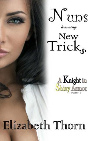 Cover of the book Nuns Learning New Tricks #2 - A Knight In Shiny Armor by Cassidy Coal