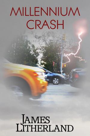 Cover of the book Millennium Crash by Gillian Flynn