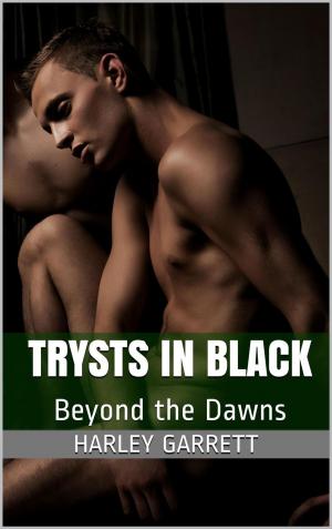 Cover of the book Trysts in Black by Lynn Edwards