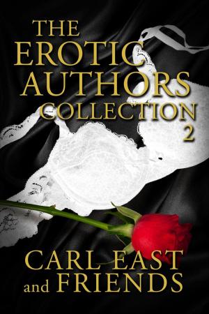 Book cover of The Erotic Authors Collection 2