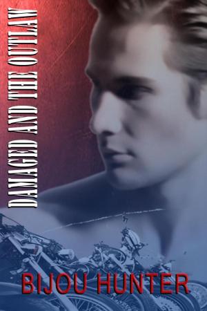 Cover of the book Damaged and the Outlaw by Lauren Hawkeye