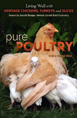 Cover of the book Pure Poultry by Steve Solomon