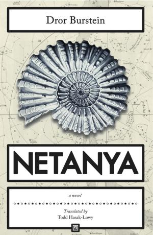 Cover of the book Netanya by Robert Buckeye