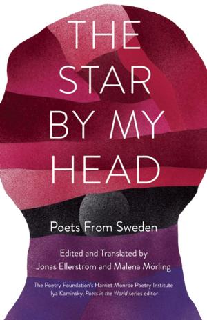 Book cover of The Star By My Head