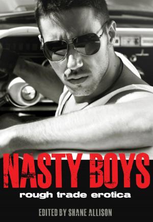 Cover of the book Nasty Boys by Jennifer East
