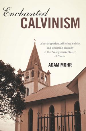 Cover of the book Enchanted Calvinism by David  S. Bachrach
