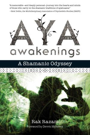 Cover of the book Aya Awakenings by Matthew Fox