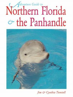 Cover of the book Northern Florida: Jacksonville, St. Augustine, Pensacola, Tallahassee & Beyond by Martin Li