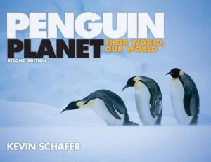 Cover of the book Penguin Planet by Bill Bradfield, Clare Bradfield