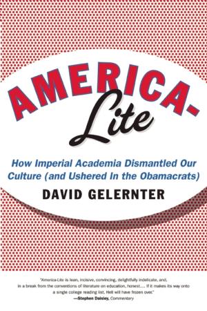Cover of the book America-Lite by Daniel Hannan