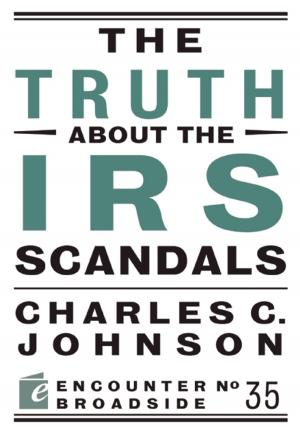 Cover of the book The Truth About the IRS Scandals by Ludvig Solvang