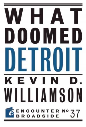 Cover of the book What Doomed Detroit by David E. Bernstein