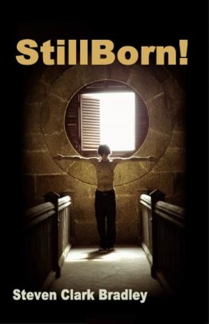 Cover of the book Stillborn by C.M. Albrecht