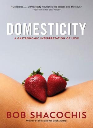 Cover of the book Domesticity by M. A. McRae