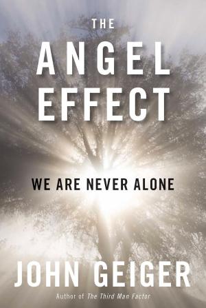 Cover of the book The Angel Effect by Stanley I. Greenspan, Serena Wieder