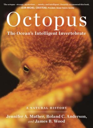 Cover of the book Octopus by Andy McIndoe
