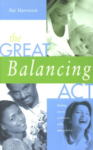 bigCover of the book Great Balancing Act by 
