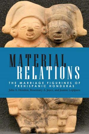 Cover of the book Material Relations by Lane Ryo Hirabayashi, Kenichiro Shimada