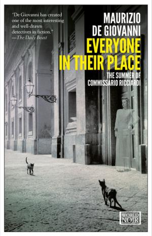 Cover of the book Everyone in Their Place by Flavia Company